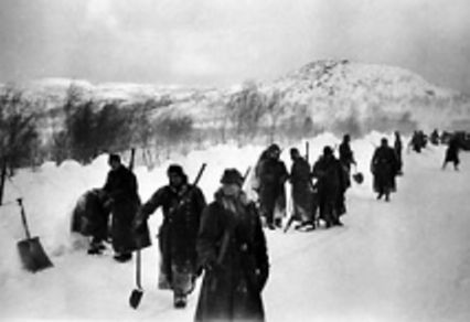 Krieg in der Arktis - klikk p&aring; bildet for mer informasjon!